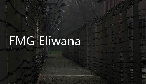 FMG Eliwana铁矿石项目获批