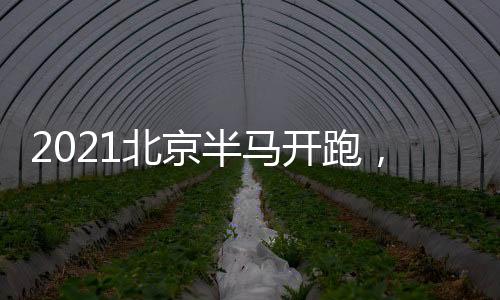 2021北京半马开跑，京东物流跑出新配速